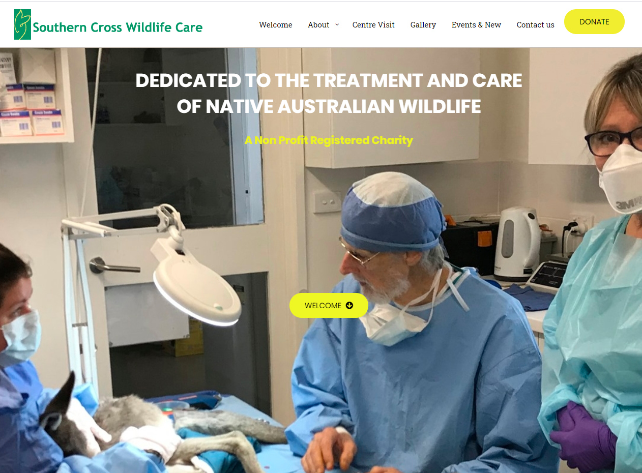 Southern Cross Wildlife Care